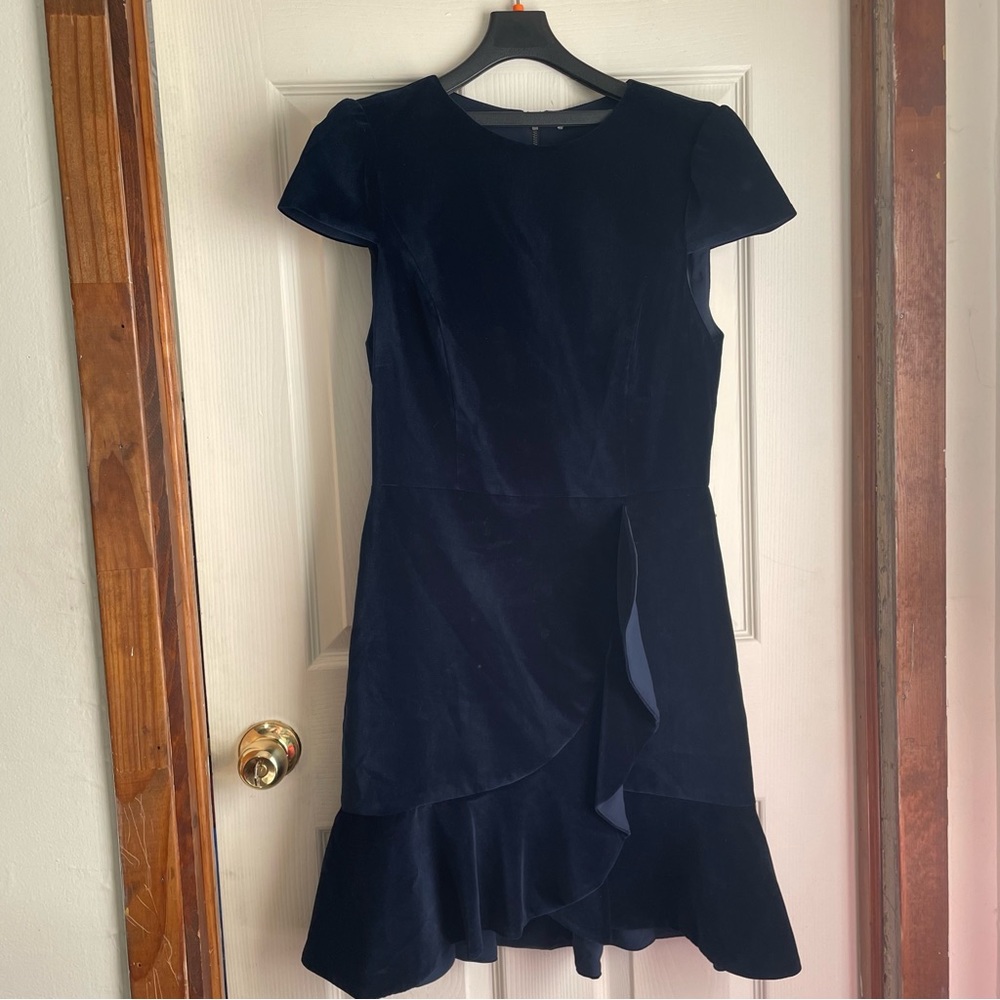 ALICE AND OLIVIA VELVET DRESS